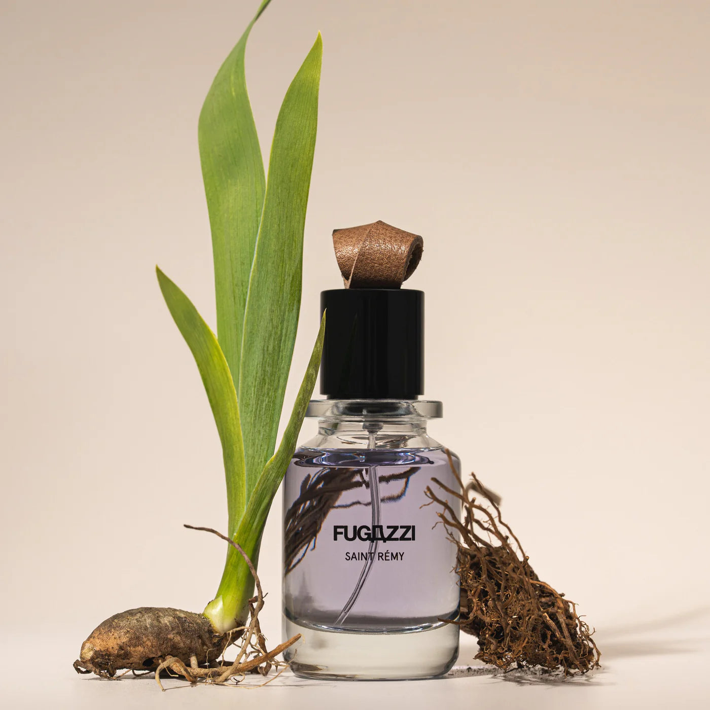 Saint Rémy By Fugazzi