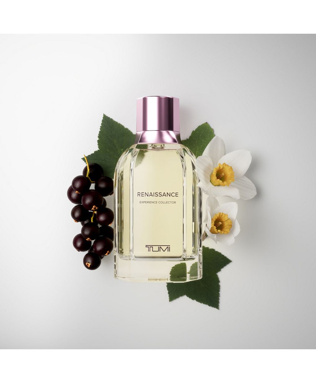 Renaissance Experience Collector Extrait De Parfum 3.4 OZ