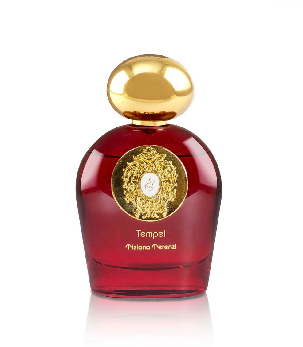 Comet Tempel by TIZIANA TERENZI