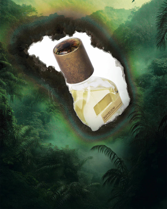 Risvelium by ORTO PARISI