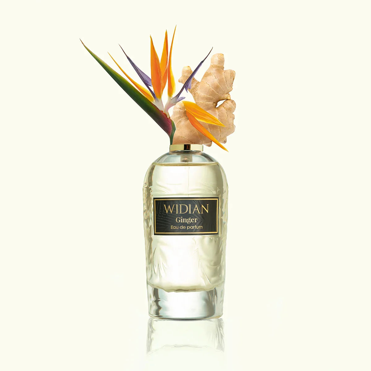 Ginger by Widian