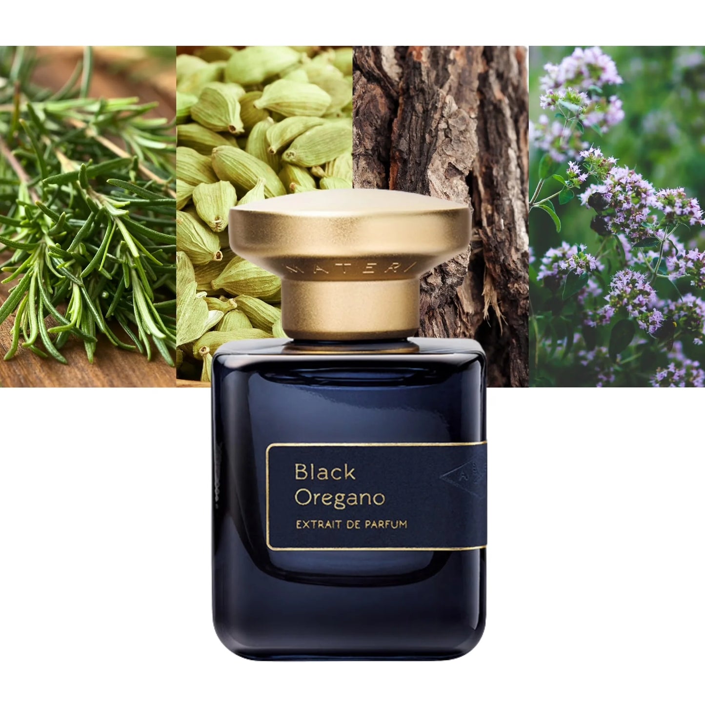 Black Oregano By ATELIER MATERI