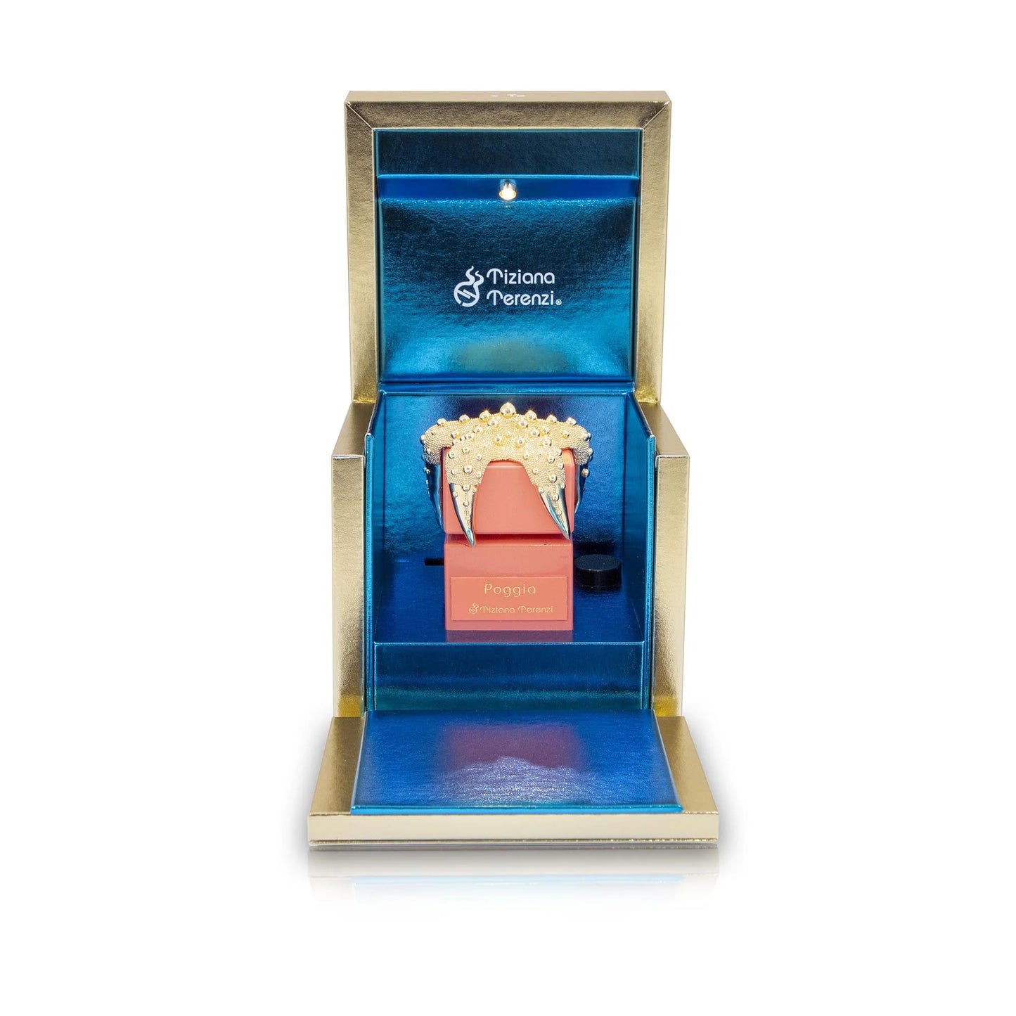 Sea Stars Poggia by TIZIANA TERENZI