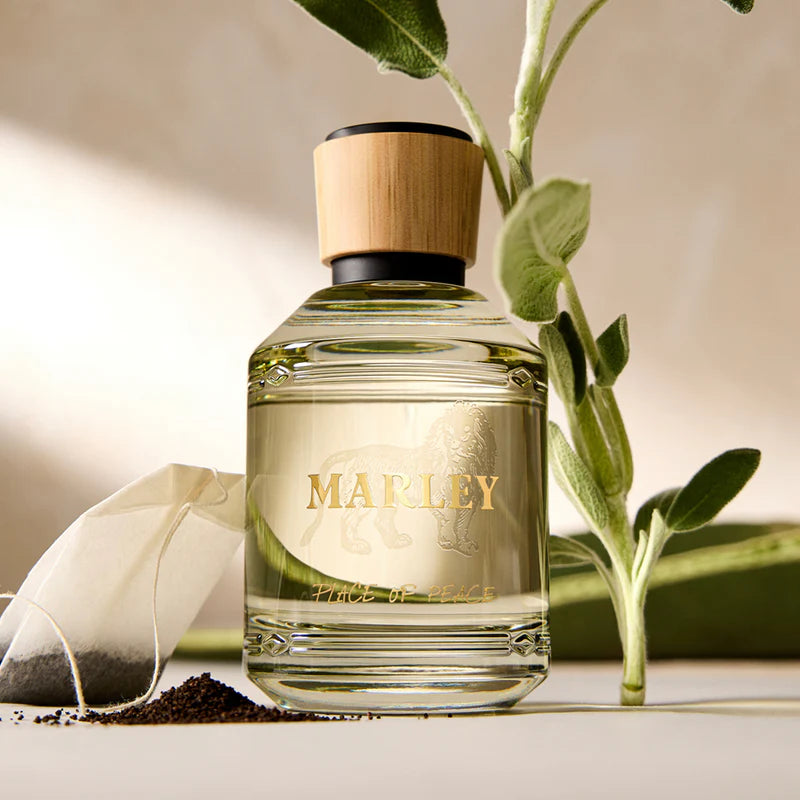 Place of Peace By Bob Marley