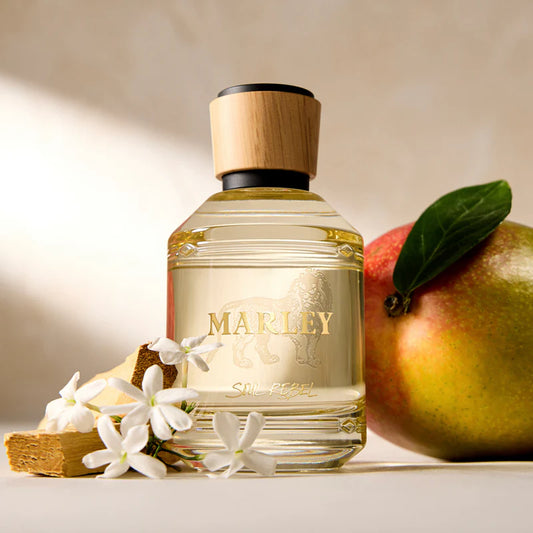 SOUL REBEL By Bob Marley