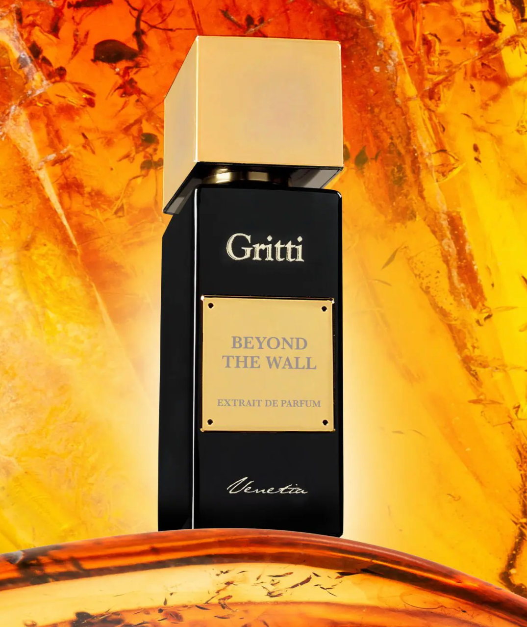 BEYOND THE WALL by GRITTI
