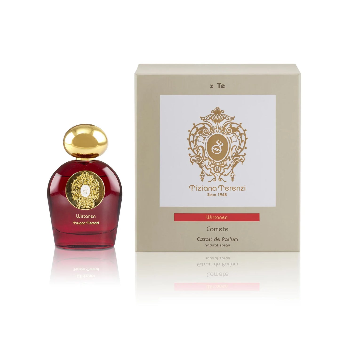 Comet Wirtanen by TIZIANA TERENZI