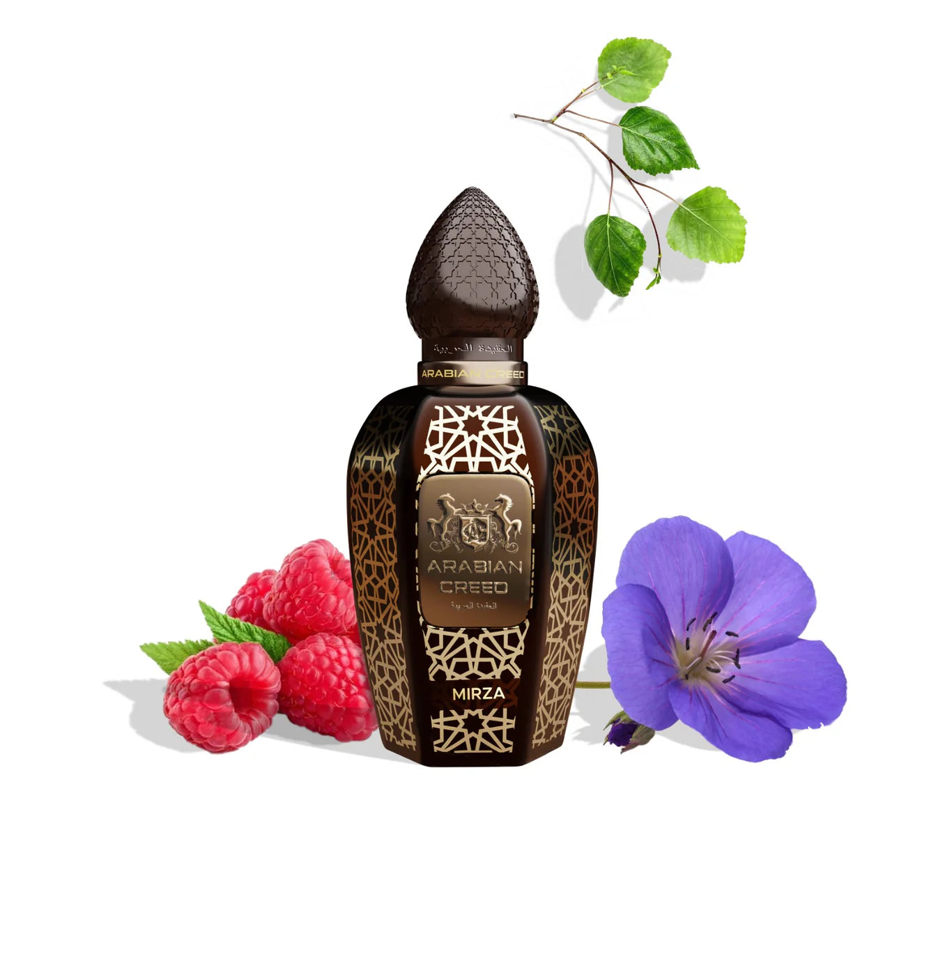 Mirza ميرزا By Arabian.C