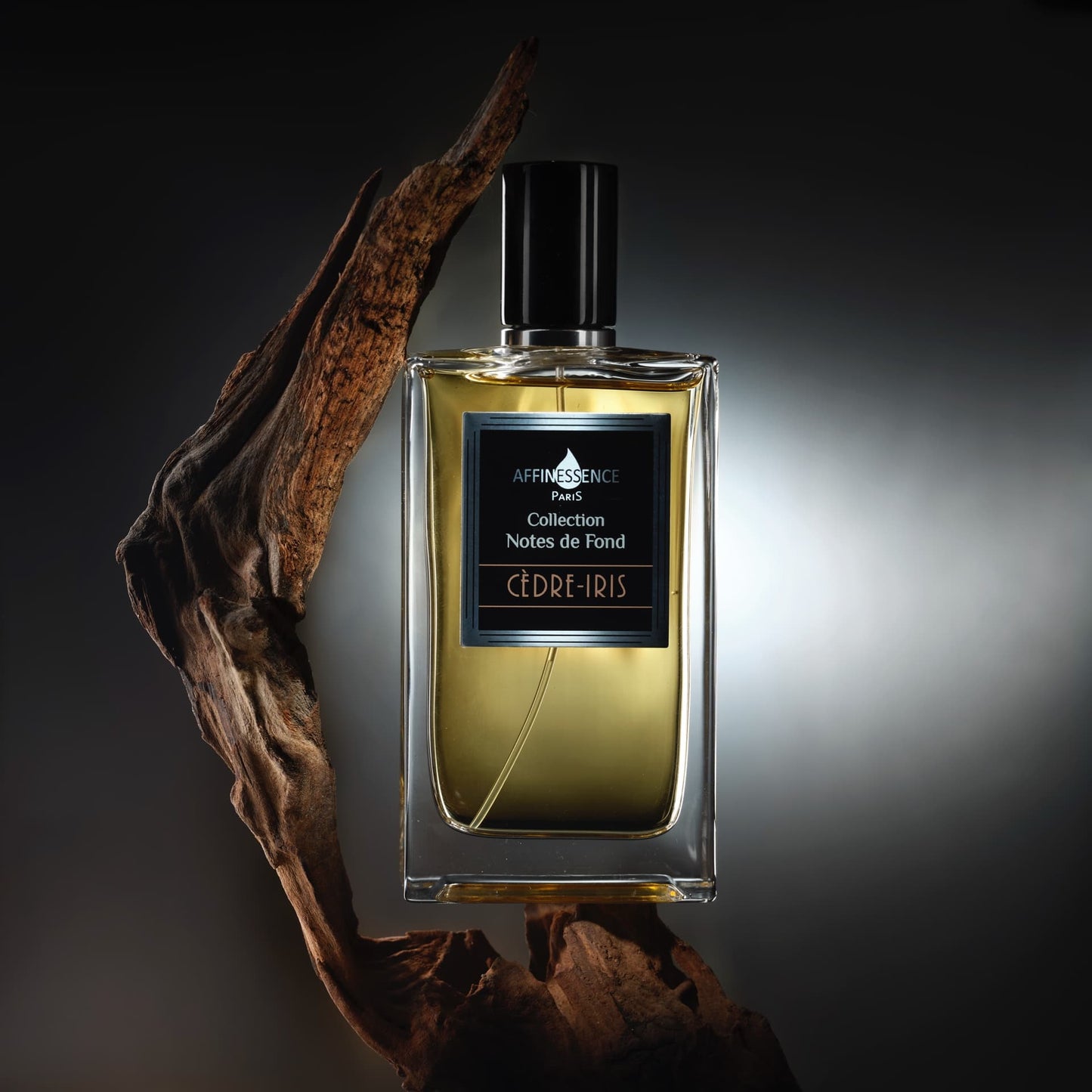 CEDRE-IRIS | CEDAR-IRIS by AFFINESSENCE
