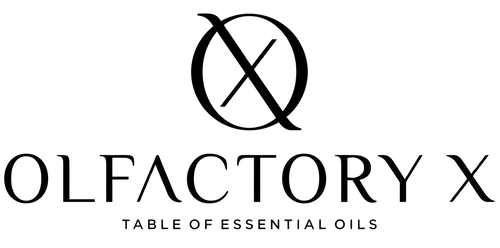 Olfactory X