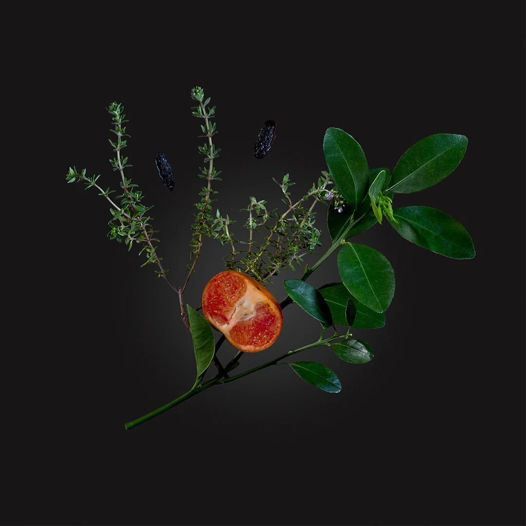 Carios by Parfums de Marly