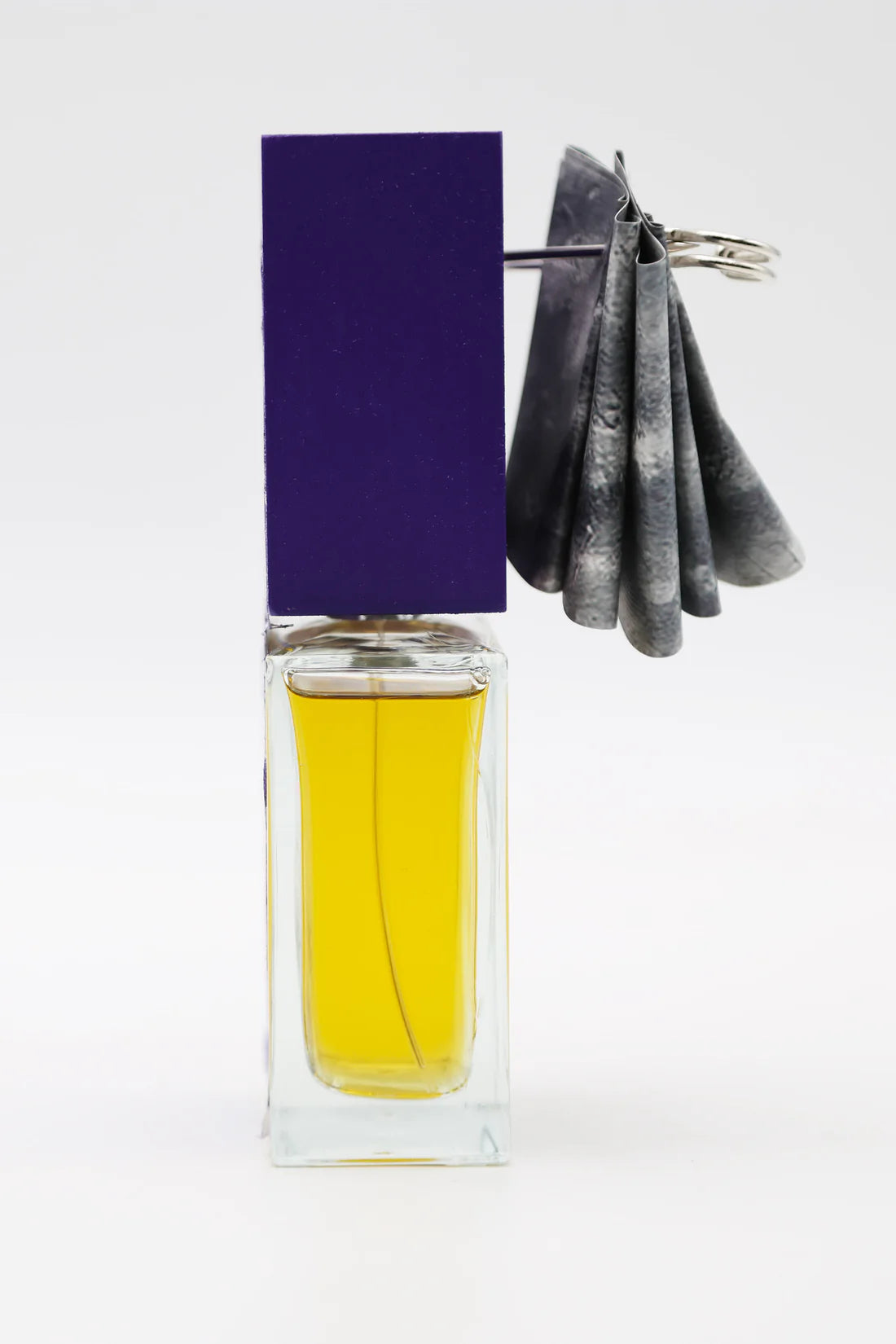 Unum Oceano viola by Filippo Sorcinelli