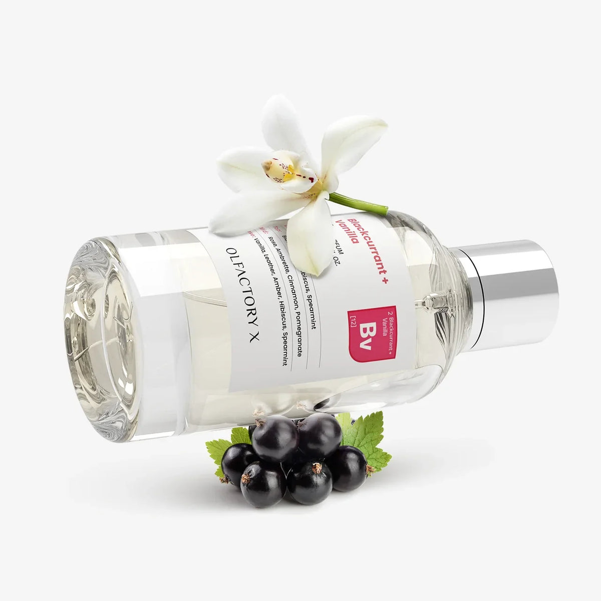 Blackcurrant + Vanilla by Olfactory X