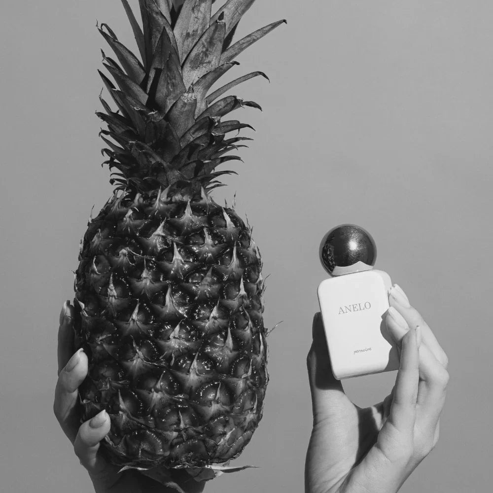 Anelo by Pernoire